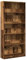 vidaXL Bücherregal, Bücherschrank Regal mit Stauraum, Standregal für Wohnzimmer Büro, Büroregal Aktenregal Aufbewahrungsregal, Altholz-Optik Holzwerkstoff