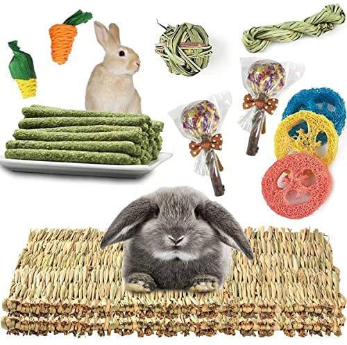 CAMITER Kleine Haustier-Grasmatte, 2 Stück Handgewebt Kaninchen Grasmatte, 14 Stück Kleintierspielzeug zum Knabbern und um Langeweile zu vertreiben für Kaninchen Meerschweinchen Hamster