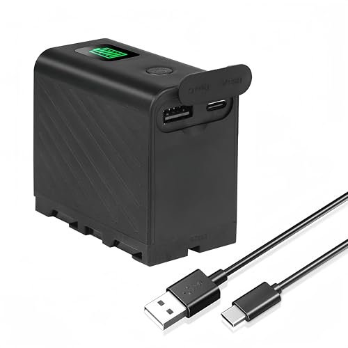 NP-F750 6000mAh USB-C Batterie à Chargement Direct pour Sony NPF F980 F970 F960 F930 F770 F750 F550, CCD-TRV815,DCR-TRV9,CCD-TR3,CCD-TRV82,DCR-TRV900,CCD-TR3000,CCD-TRV85,DCR-VX200,CCD-TR3300 (1Pcs)