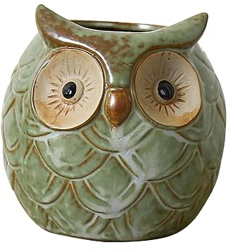 INOOMP macetas para Plantas suculentas jarrones para Flores decoración suculento florero Flower Vase Maceta de Terracota macetas de cerámica Ojos Grandes Adornos Decorar glaseado de Horno