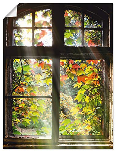 ARTLAND Wanddeko Poster & Kunstdrucke Wandposter 60x80 cm Fensterblick Fenster Herbst Natur Landschaft Altbau Sonne Baum T5XH