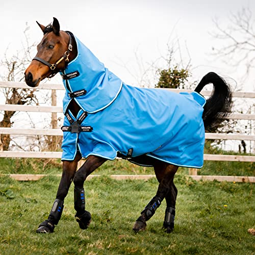 Horseware Amigo Hero 900 Plus Turnout Medium Disc Front 200g - Daphne Blue, Größe:155