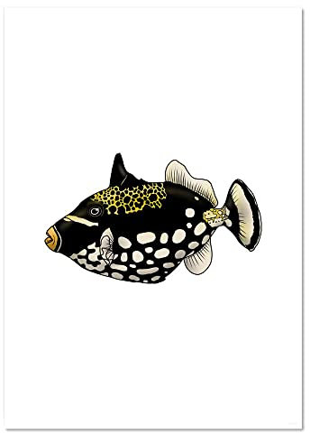 Azeeda PP00190286 Clown-Drückerfisch Poster Kunstdruck A3