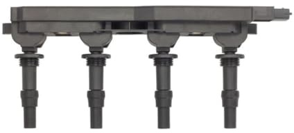 Delphi GN10198-12B1 Ignition Coil