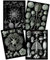 Artery8 Ernst Haeckel Kunstformen Der Natur Plates Nature Vintage Biology Black White Art Print Poster Home Decor Premium Pack of 4 Kunstformen der Natur Teller Natur Jahrgang Biologie Zuhause Deko
