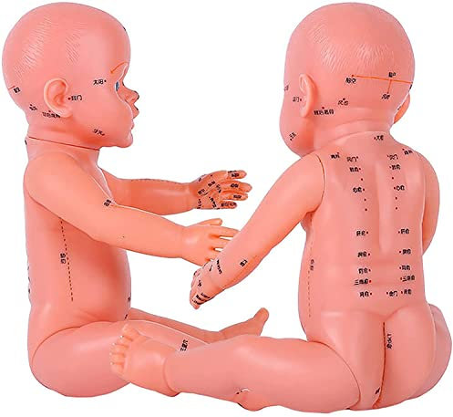 UIGJIOG Kindermassage Akupunkturpunkt Modell Human Akupunktur Baby Modell, 50Cm Kindermassage Modell Chinesische Medizin Universal Akupunktur Pädiatrische Massage Simulation Modell