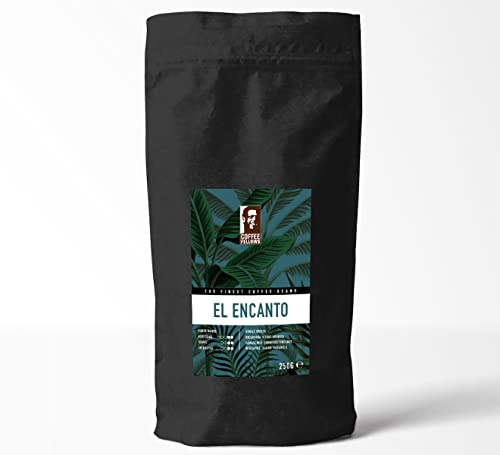 Coffee Fellows El Encanto Kaffee | ganze Kaffee Bohnen | 100% Arabica Spezialitätenkaffee | Single Origin (1kg)