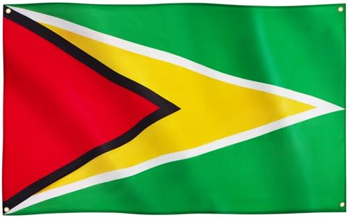 Runesol Drapeau de la Guyane, 91x152cm, 3ft x 5ft, 4 Anneaux, œillet dans chaque coin, Guyane britannique, République coopérative de Guyane, Drapeaux Premium, Intérieur, Extérieur, Bannière