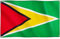 Runesol Drapeau de la Guyane, 91x152cm, 3ft x 5ft, 4 Anneaux, œillet dans chaque coin, Guyane britannique, République coopérative de Guyane, Drapeaux Premium, Intérieur, Extérieur, Bannière