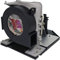 NP39LP / 100014157 Projektor Ersatzlampe mit Gehäuse für NEC NP-P502H / NP-P502W