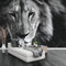 GIVLWF Papier Peint de 3D Lion Féroce, Lion D'animaux D'Afrique Papier-Peint Murs - pour Restaurant-Bar à Thème Décoration Murale 350 x 265 cm