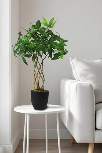 Arnusa Künstliche Pflanze 65 cm im Topf Grünpflanze Zimmerpflanze Kunstpflanze mit Flecht-Stamm