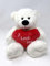 White Teddy Bear holding Red Heart with I Love You written on it | Gift Ideas for Girlfriend | Wife | Birthday | Valentine's Day | Christmas | Anniversary (White, 10.5)