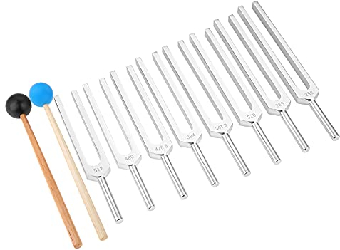 Gohantee Silber Chakra Stimmgabel Satz von 8 Stimmgabeln-2 Schallhammer für Klangtherapie, Entspannung (256Hz, 288Hz, 320Hz, 341.3Hz, 383Hz, 426.6Hz, 480Hz, 512Hz)