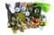 Terrarium Starter Kit Large, Complete Kit with Living Plants Included