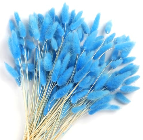 Songjum 120Stück Getrocknete Blumen Hasenschwänze Pampasgras Natürlicher Kaninchenschwanz Getrockneter Blumen Pampasgras Dekor für Wohnkultur Boho Zuhause Dekoration Blumenarrangements(Blau)