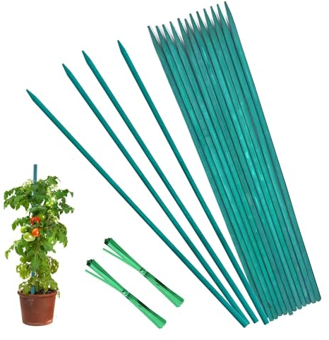 Lot de 30 bâtons de support pour plantes, piquets verts de 30 cm, bâtons en bambou vert de 30,5 cm pour jardin et maison, pics floraux, trépieds de jardinage