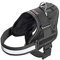 Karlie Xtreme No Limit Geschirr B: 50 mm Br um: 70 - 83 cm L schwarz