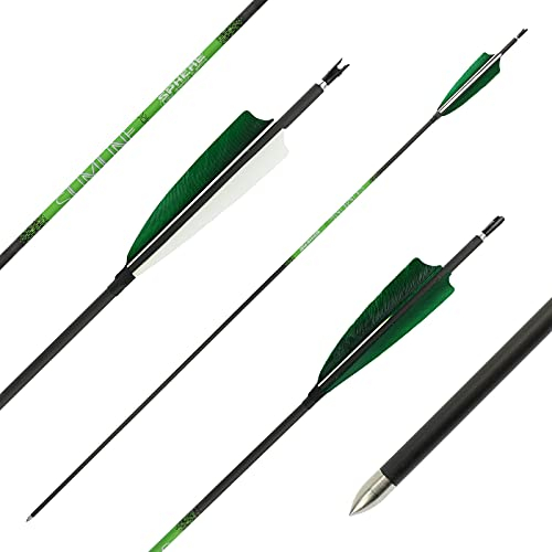 6er Pack - Carbonpfeil - Sphere Slimline Pro - mit Naturfedern - Spine: 600 (31-35 lbs) - 32 Zoll; für den Bogensport, Schießen mit Pfeil und Bogen