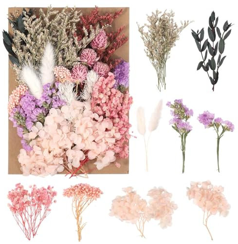 Halinuia Flores secas, verdaderas flores naturales secas reales para DIY vela fabricación artesanal Scrapbooking marco de fotos decoración de boda (púrpura, rosa, rojo)