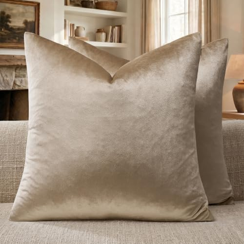 GIGIZAZA Lot de 2 housses de coussin carrées décoratives en velours de style bohème pour canapé et sofa, 45 x 45 cm, taupe