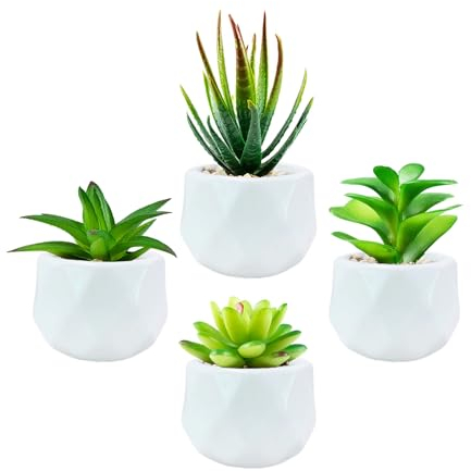 Plantes succulentes artificielles d'intérieur dans mini pots en céramique blanche, fausses plantes succulentes, esthétiques pour salle de bain, chambre, salon, bureau