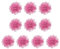 PATIKIL 2.8 Mousseline Soie Fleurs, 10 pcs Maille Tissu Fleurs Couture Tissu Appliques Bandeau Embellissements pour DIY Artisanat Mariage décoratif, Rose