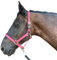 Halfter für Pferde mit Glitzer in Rosegold, Halfter Pferd in schwarz und pink, 2-Fach verstellbar (Pink Rosegold, Warmblut (Full))
