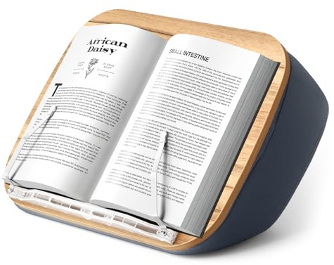 ERGONOV Schoßbuchständer für freihändiges Lesen, bequemer Lesekissenständer, minimiert Nackenbelastung, perfekte Idee für Buchliebhaber im Schlafsaal oder überall sonst, mit Büchersitz (grau)