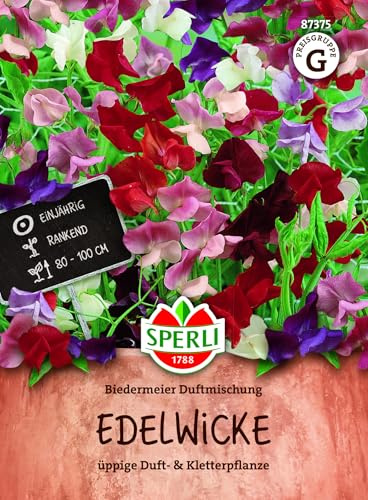 Sperli Edelwickensamen Biedermeier Duftmischung 87375, Blumensaat | Duftende Kletterpflanze, 80–100 cm, Mauer und Rankhilfe, Blüte Juli bis September, 1 Portion
