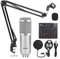BM 800 Microphone Studio Sound Card Kit Condenser Microphone Podcast Streaming Game Recording Microphone (Color : Silver, Size : 4.8 * 16cm)