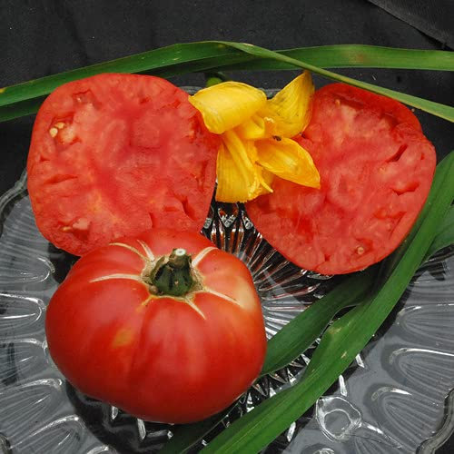 Plant World Seeds - Tomato Soldacki Seeds (Tomato Seeds)