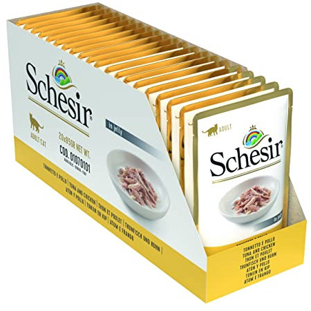 Schesir