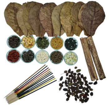 Schmitt Aquaristik Futter-Set für Garnelen und Krebse / Lollies Seemandelbaumblätter Seemandelbaumröhren Erlenzapfen