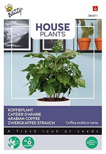 Buzzy House Plants Coffea Arabica, Arabian Coffee