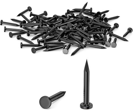 100 Chiodi da 20MM di Acciaio, Chiodi in Acciaio per uso su Cemento, Mattoni, Intonaco e Legno, Chiodi Zincati, per Lavori in Legno, Mattoni, uso Universale per Interni ed Esterni(Nero)