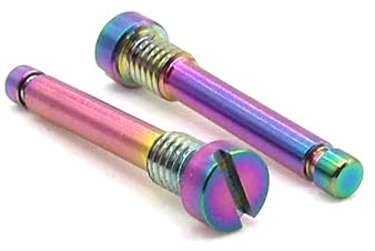 Easybikeparts Pasador de retención de pastillas de freno de titanio para Shimano XTR, Ultegra, XT y 105 pinzas de freno de disco (paquete de 2) (Oil Slick)