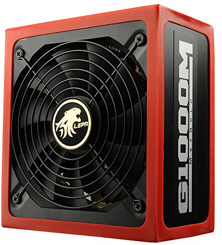 Lepa MaxGold Alimentation pour PC 1000 W Noir