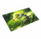 Gamegenic GGS40066ML Star Wars Unlimited Trading Card Game Accessory, Multi-Colour