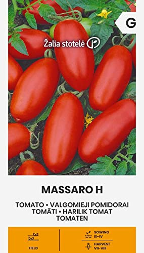Zalia stotele | TOMATEN MASSARO H samen| Gemüsesamen | Pflanze samen | Tomatensamen | Gardensamen | 1 Pack