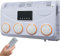 12V RV Air Conditioner, 12V DC Air Conditioner Unit Truck,Car Electric RV Roof Air Conditioner, 12 V /24C Electric RV Truck Camper Air Conditioner, Which Is Light and Portable, Easy To Install-12V