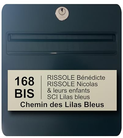 Plaque boite aux lettres personnalisable - 24 x 10 cm - 5 lignes - Numero de maison exterieur - Etiquette boite aux lettres - Nom - Famille - Entreprise - Plaques d'adresses (Amande)