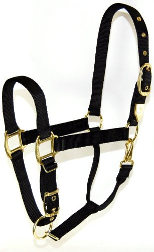 Hamilton 1 Nylon Halfter mit verstellbarem Verschluss