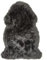 -LUXOR- living Lammfell Schaffell Echt, Fellteppich, Fell für Stühle, Schaffell Teppich, Bettvorleger Schlafzimmer, 50 mm Florhöhe, 60 x 85 cm Schwarz
