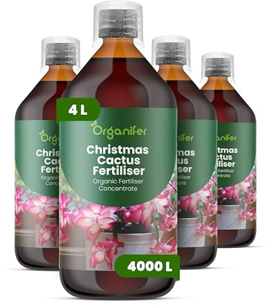 Engrais liquide organique 4x1L pour cactus de Noël en pot – plantes saines – Organifer