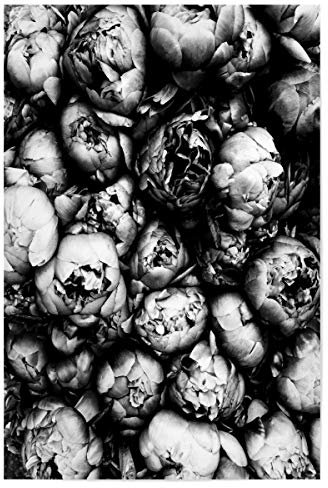 artboxONE Poster 30x20 cm Natur Peony hochwertiger Design Kunstdruck - Bild Peony Blumen Flower