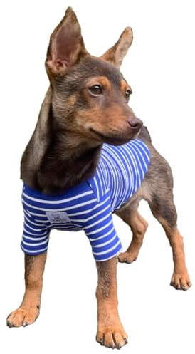 YQYS Pet Striped Cotton Tee Shirt for Small Dogs and Cats - Puppy Clothes, Teacup Dog Clothing for Chihuahua, Yorkie, Poodle - Blue, White, Small