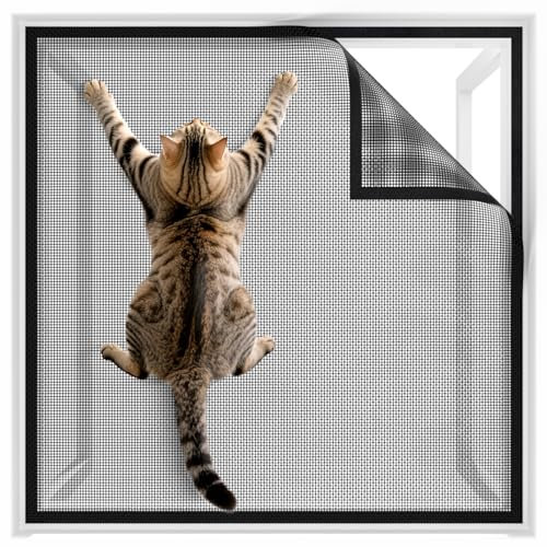 BKSAI Window Fly Screen, Cat Window Guard Screen, Strong Self-Adhesive Window Mesh Net for Cats, Pets Protection and Keep Bugs Out, Cats Window Protection, Indoor Cat Safety Netting