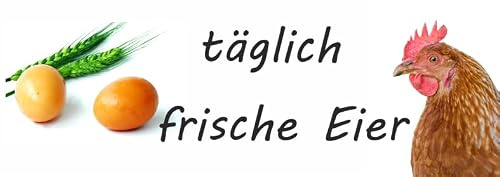 Banner täglich frische Eier