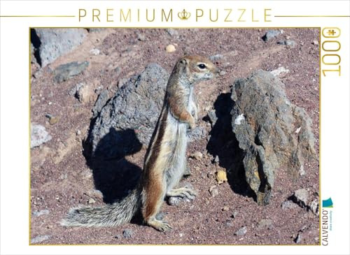 CALVENDO Puzzle Ausschau halten | 1000 Teile Lege-Größe 64 x 48 cm Foto-Puzzle für glückliche Stunden